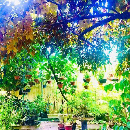 Pebble Homestay Hoi An Dış mekan fotoğraf