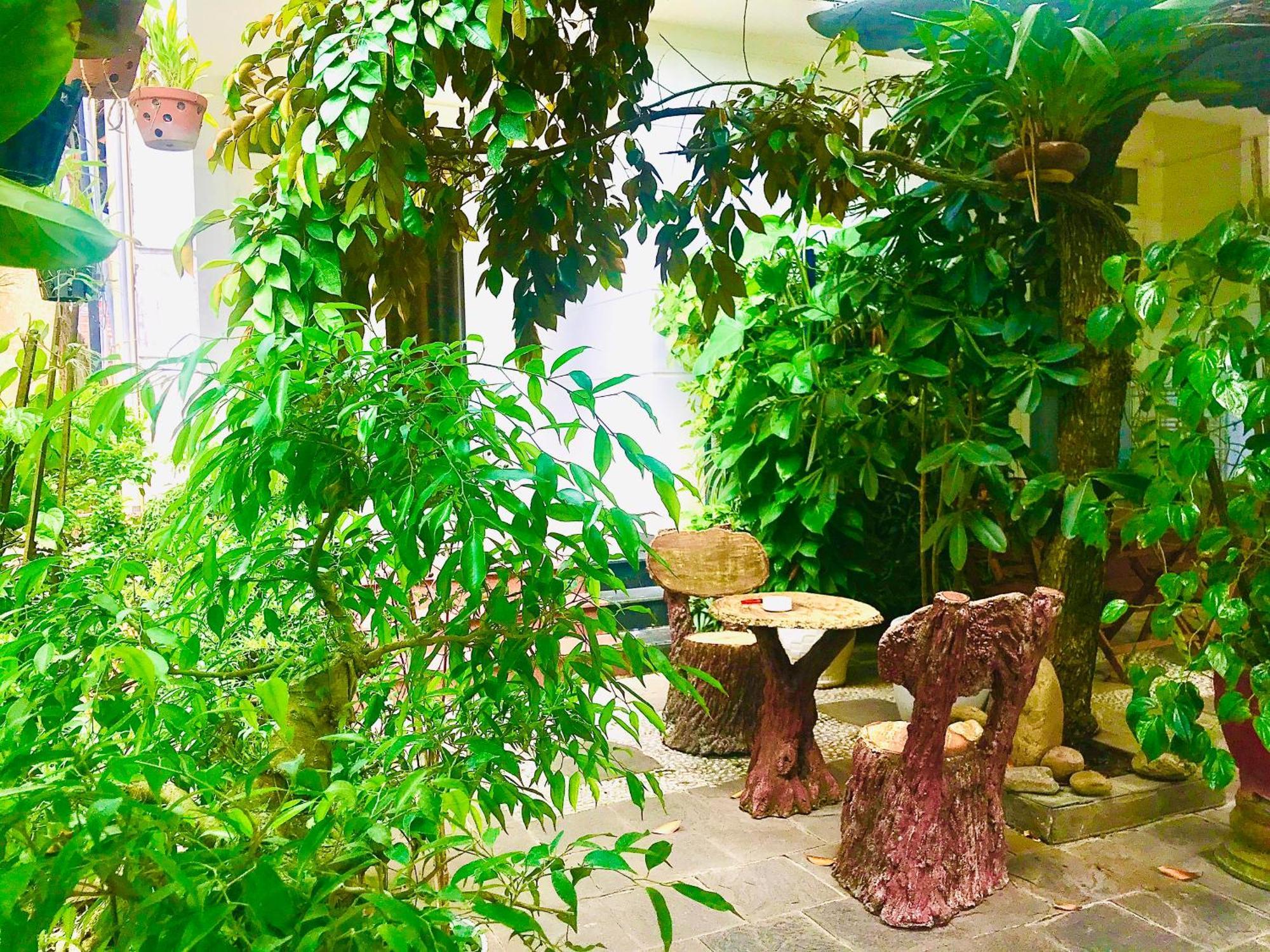 Pebble Homestay Hoi An Dış mekan fotoğraf