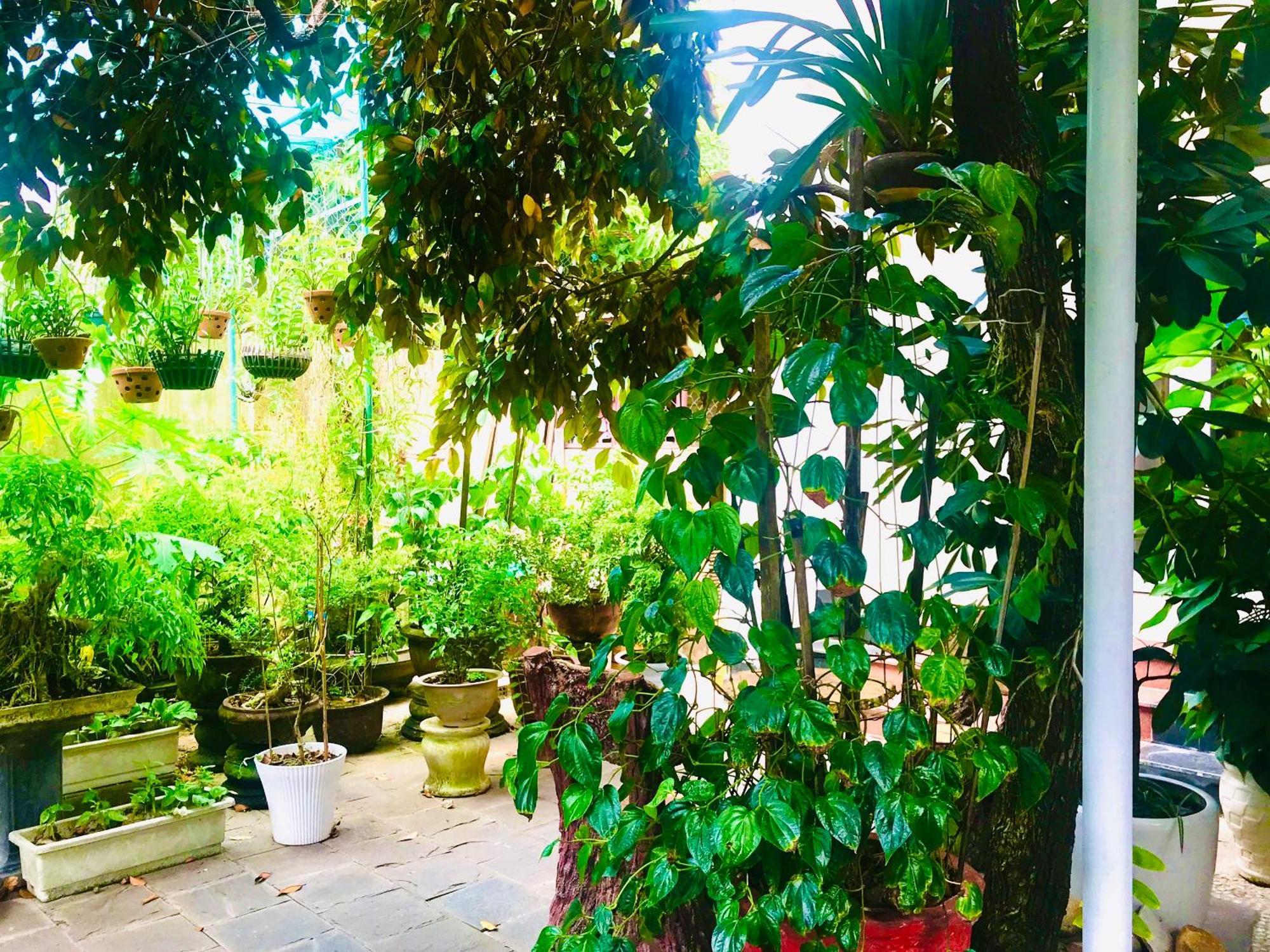 Pebble Homestay Hoi An Dış mekan fotoğraf